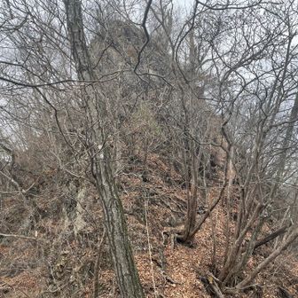 ピーク③に向かう途中の崖。
ここが一番怖かったかなぁ…