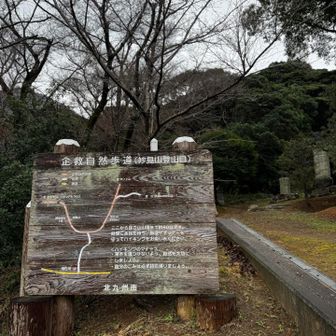 神社の第3駐車場(登山者用)に止めてココからスタートです