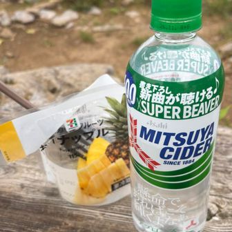 三ツ矢サイダー