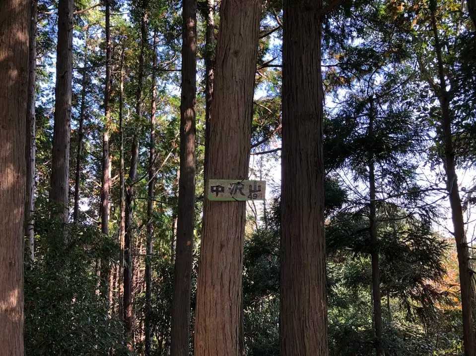 中沢山の写真