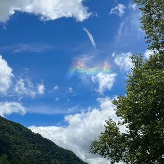 山高きが故に貴からず