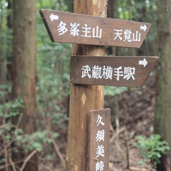 久須美峠
武蔵横手駅に降りるか迷いましたが、
多峯主山の手前の住宅街に出て、バスに乗ることにします