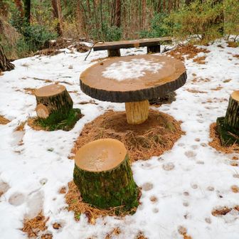 晴れた日には、ランチ会場にいいですね♪