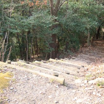 さらに降って🥾