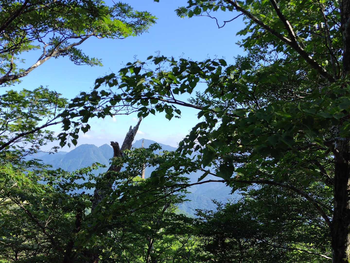⛰️✨