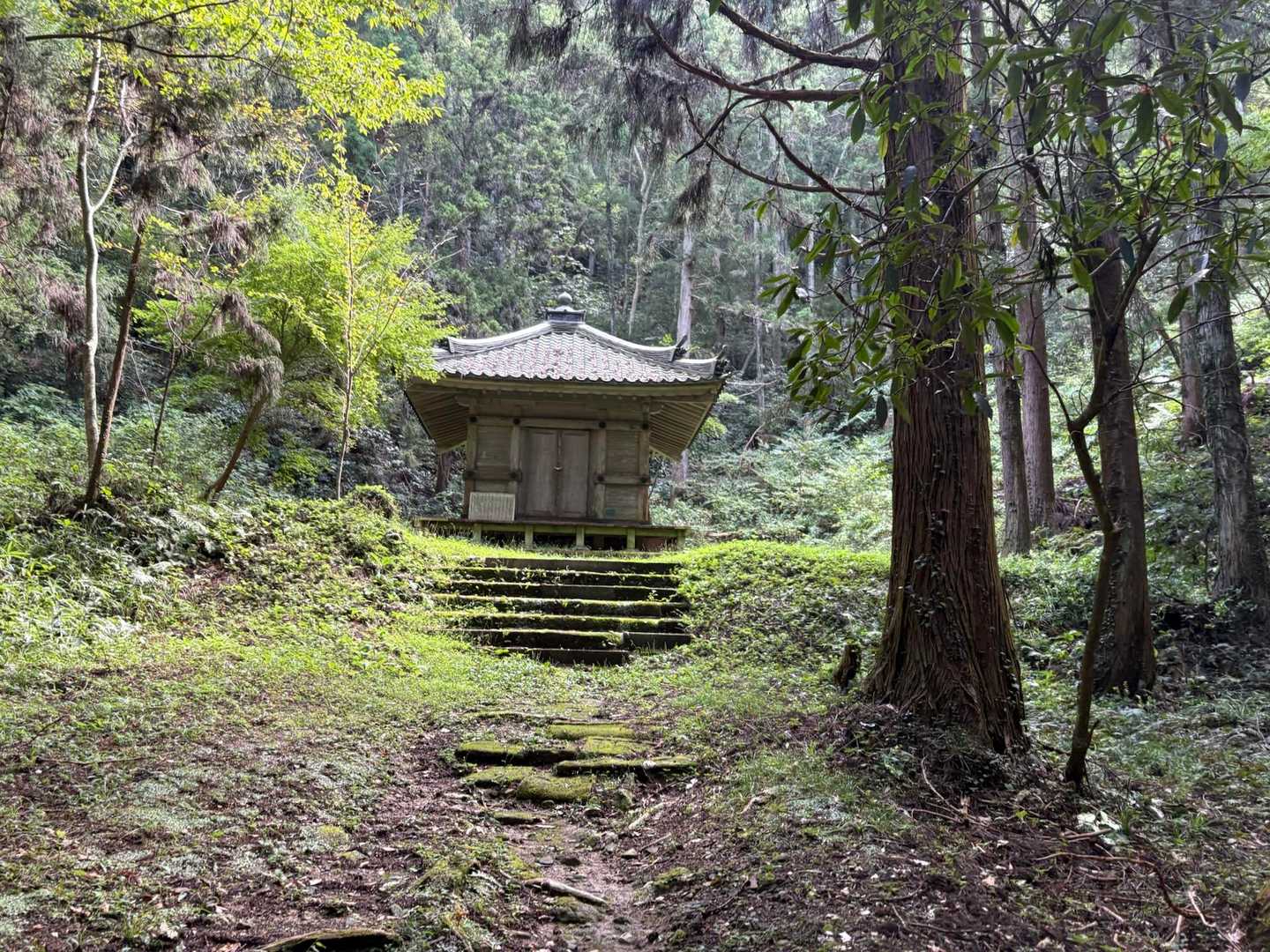 おはようございます🙏