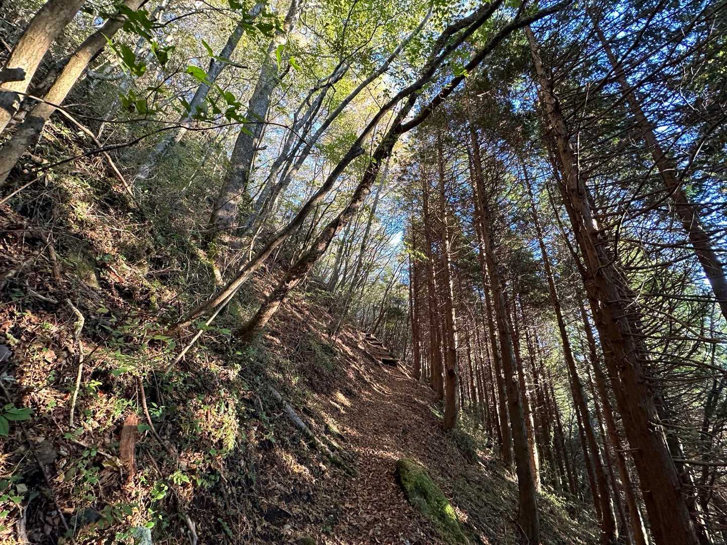 矢部越登山口-釈迦岳-御前岳-釈迦岳 周回コースの写真