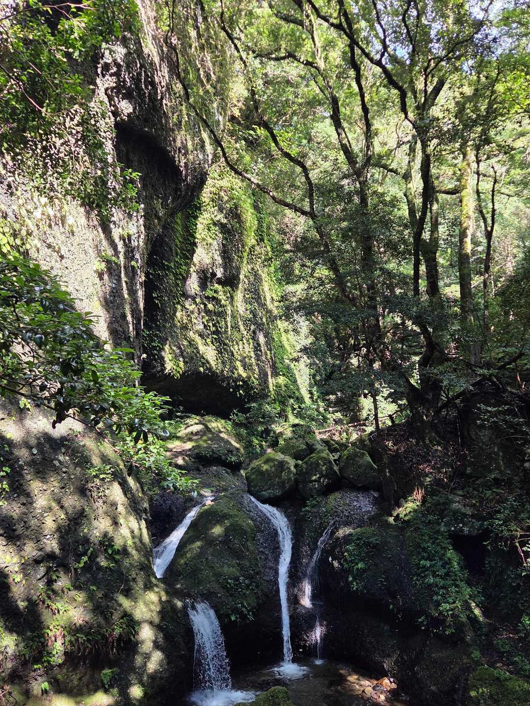 最強低山の呼び声高い、スリル満点の黒髪山定番コースの写真