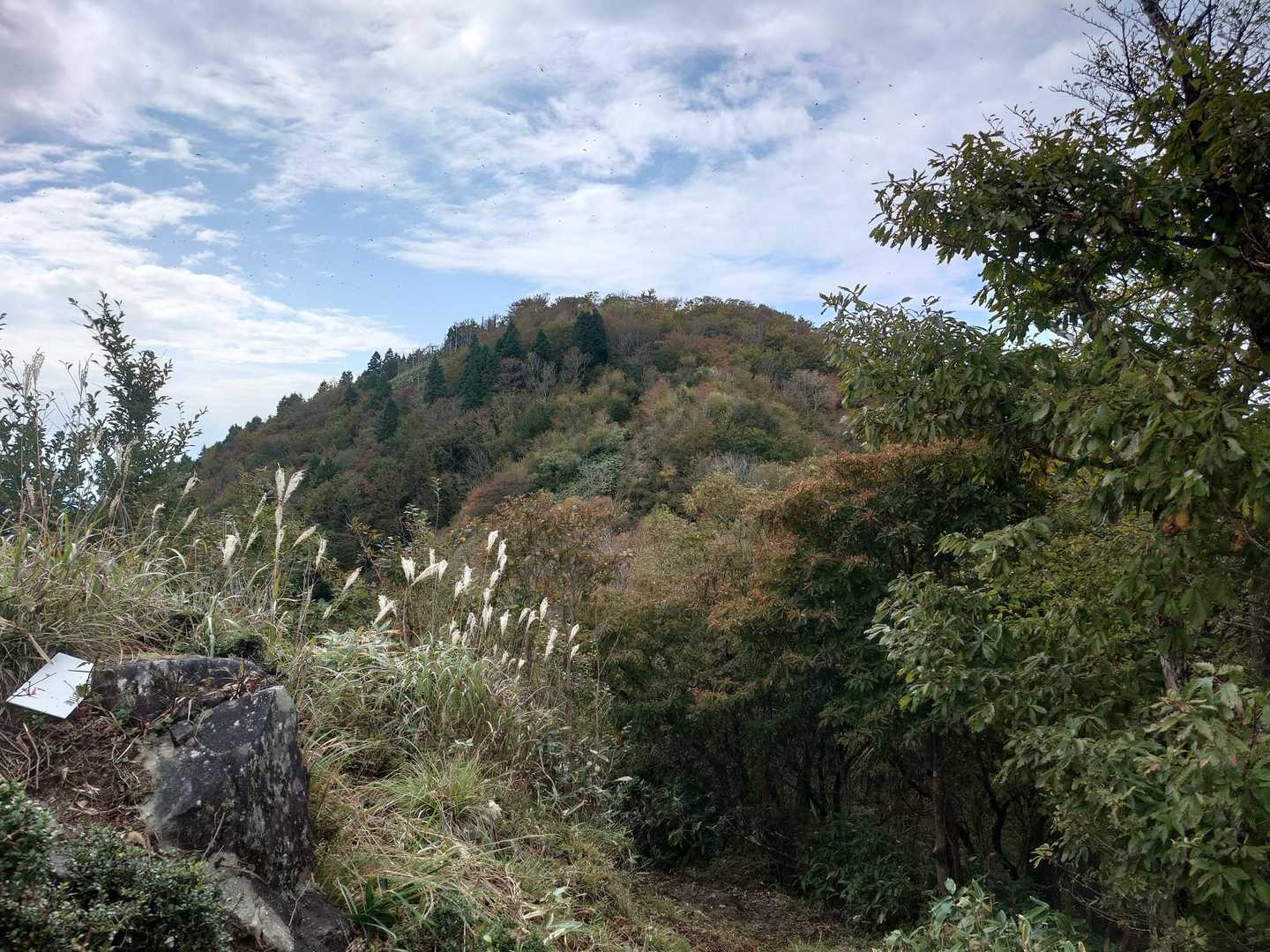 やっぱり奥の方でした。😁