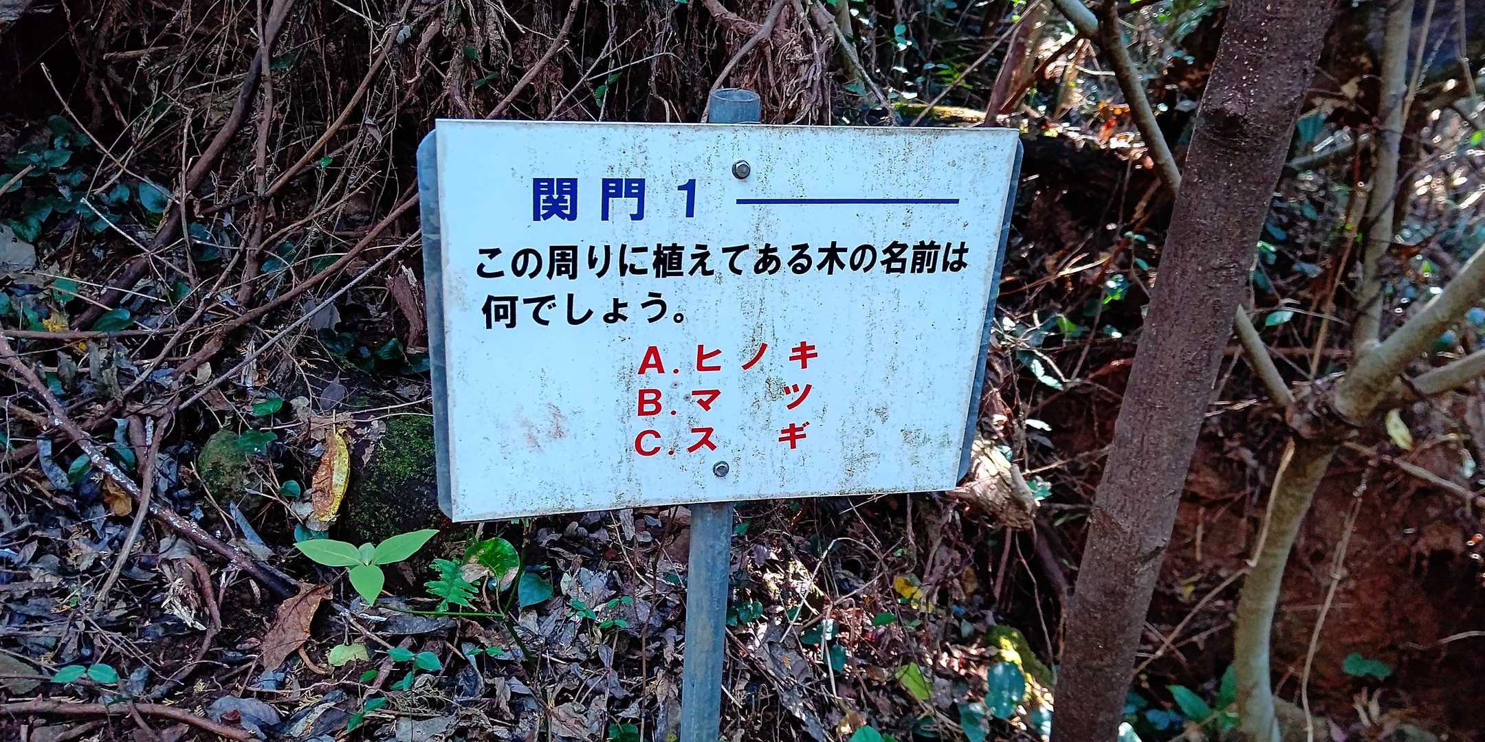 藪漕ぎ最中に聞かないで欲しい…
C !