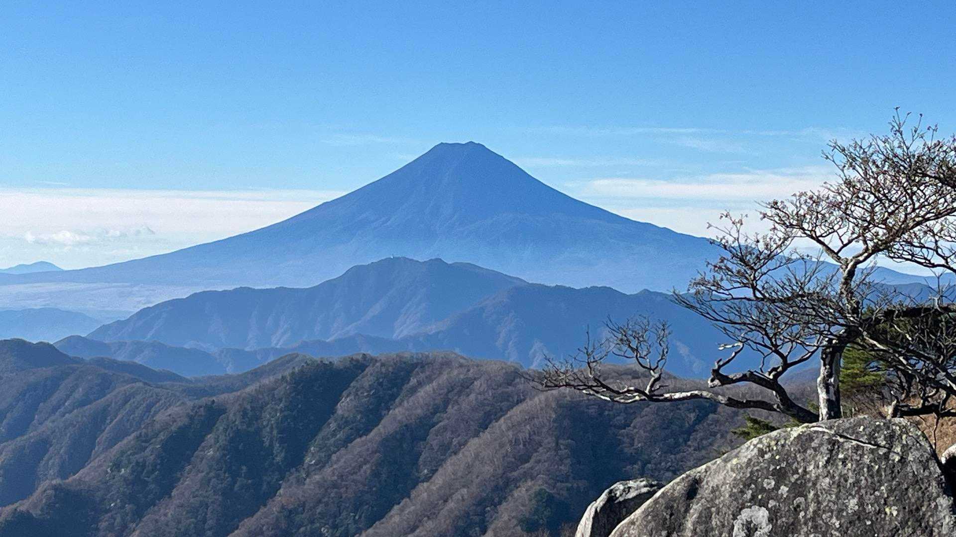 アップで、素晴らしい👍