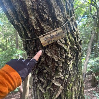 ラストピーク8️⃣御岳山　初登頂

この山頂を少し下ったら秩父御嶽神社の頂上本殿です。