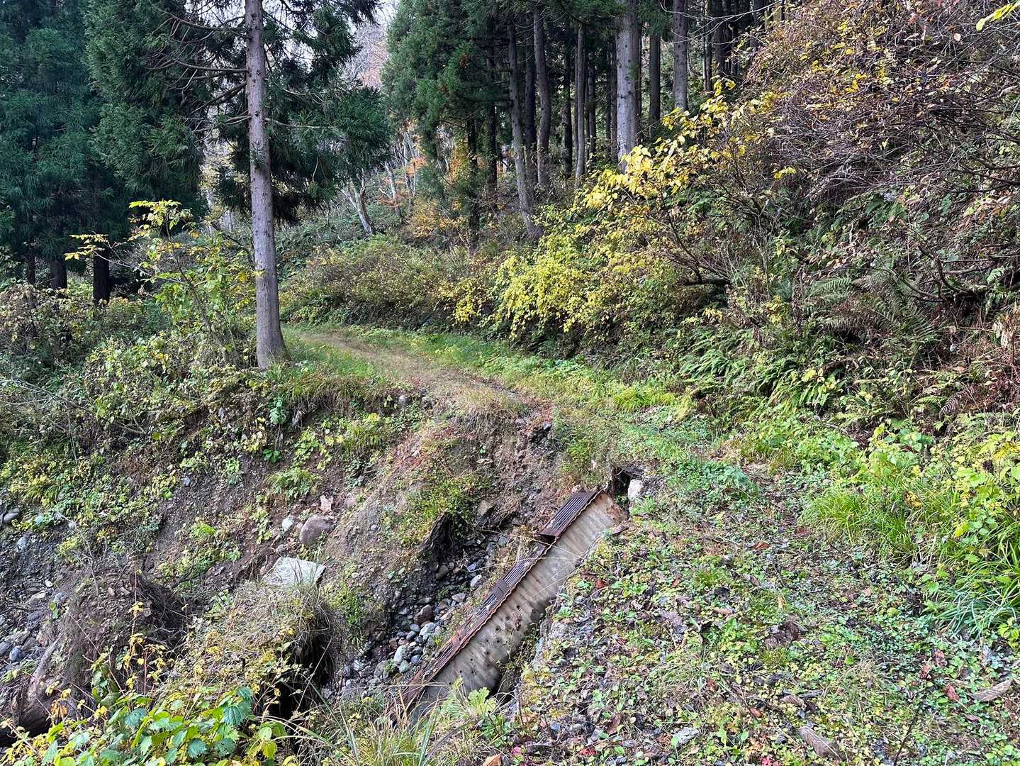 車が唯一通れない場所、ここが直れば登山口まで何だか行けそうな気する〜😄