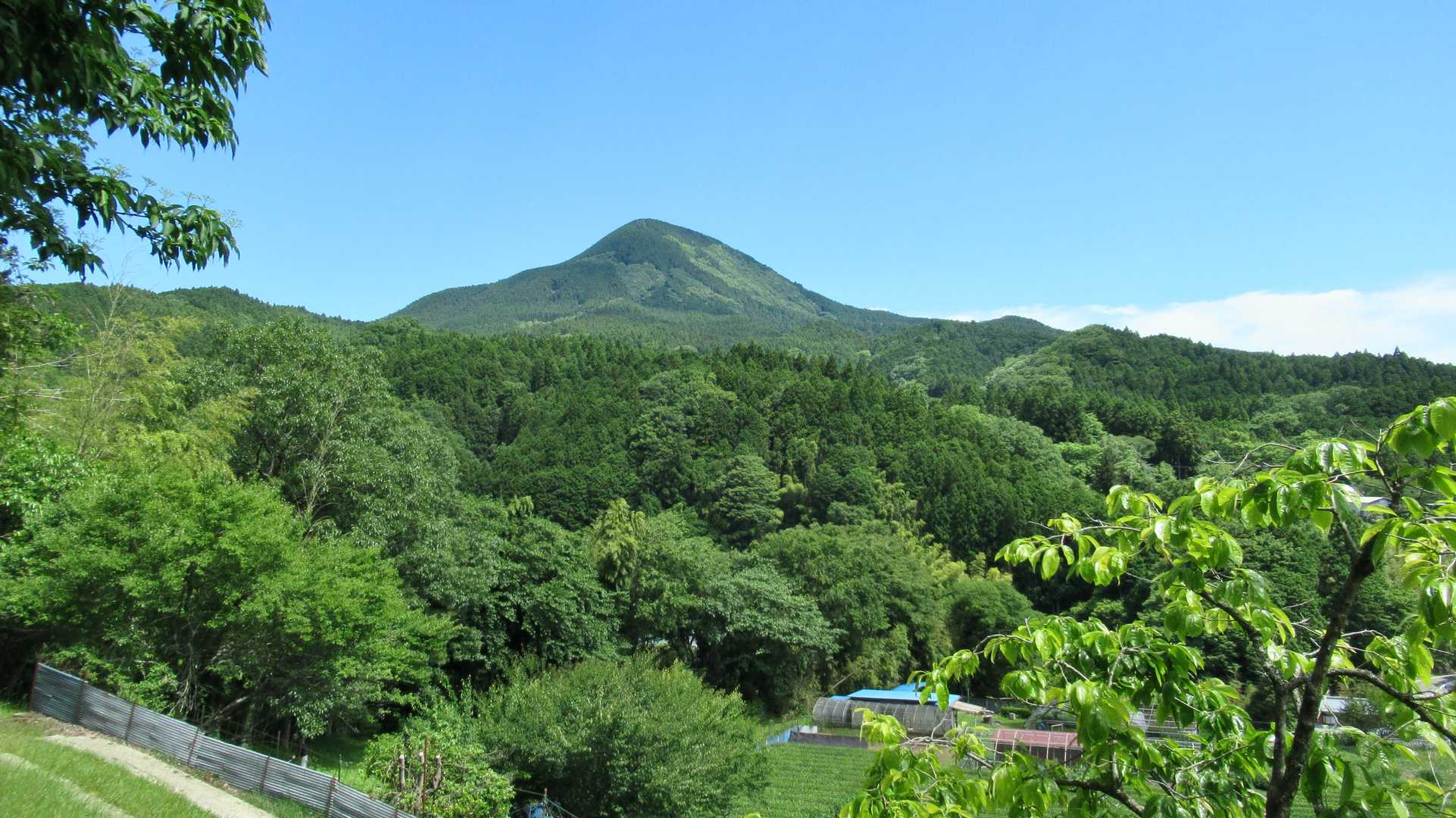 振り返ると大洞山