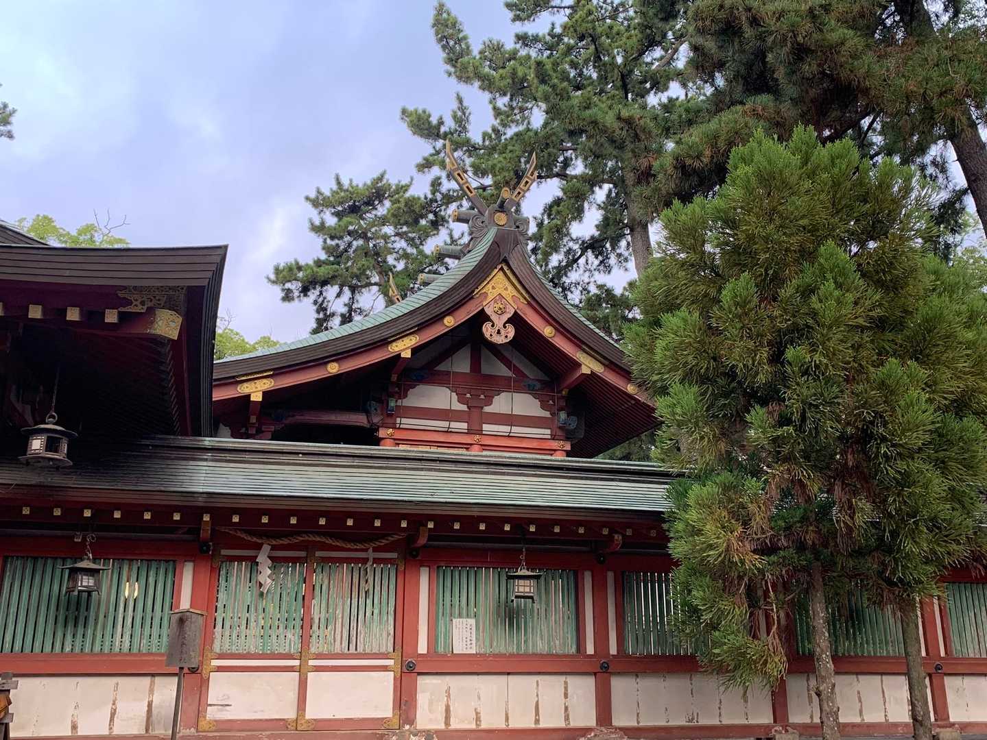 本殿です。流造ですね。御祭神は事代主神。出雲神やんか！(@_@)