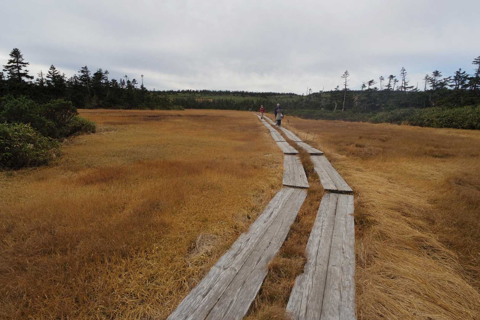 帰りは八幡沼の南側を周っていきます