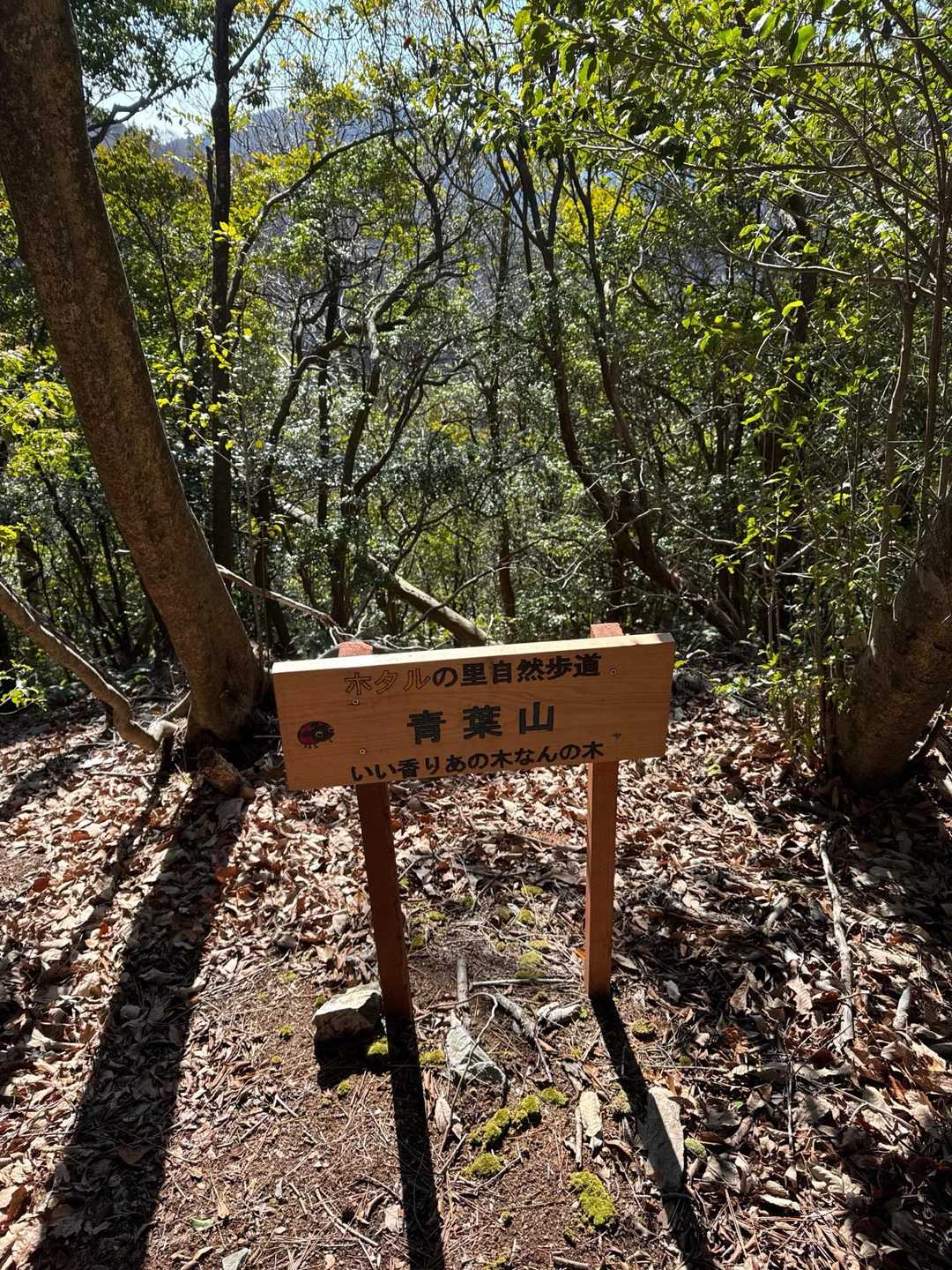 ラストの青葉山です。
