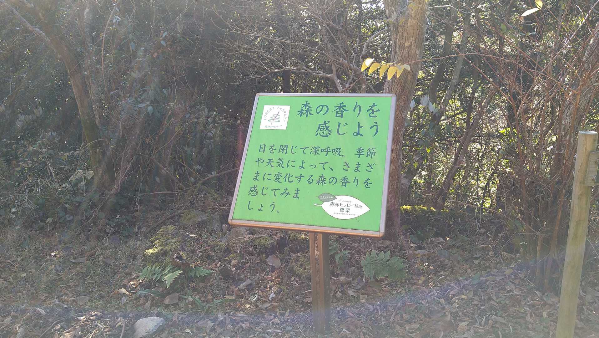 す～は〜　気持ちよかねー😃
ここからあと一息😃