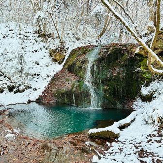 ここが滝！！冬でも美しい🤩