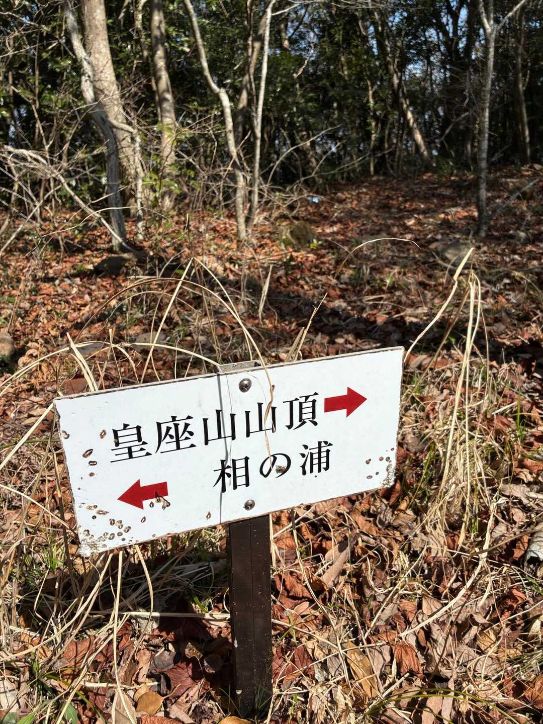 皇座山 往復コースの写真