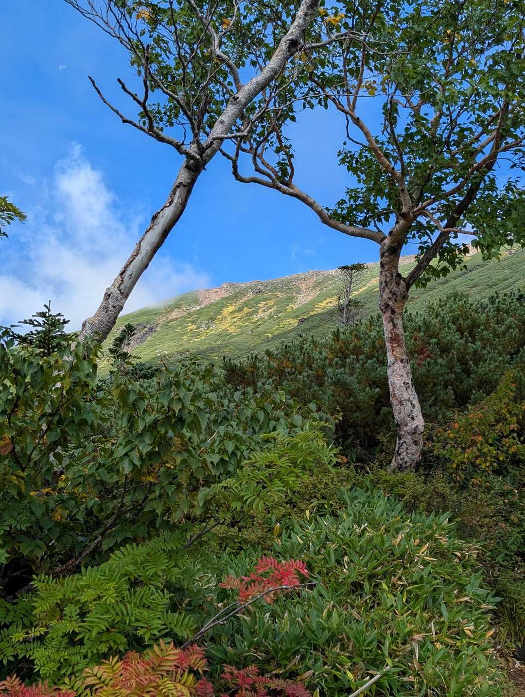 下山途中で山頂が見えました🤗