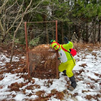 アルクマくん、捕まる😂