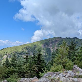 中四阿からの根子岳。お花がたくさんでいい山でした…