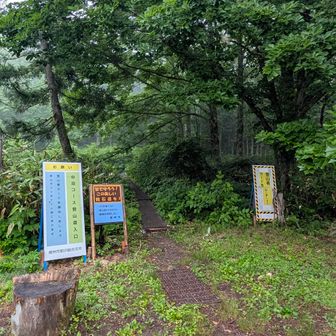 霧雨🌧️…ゆっくり準備しなから車内でお天気回復待ちましたが…まぁ〜歩いてるうち回復するよね…😁