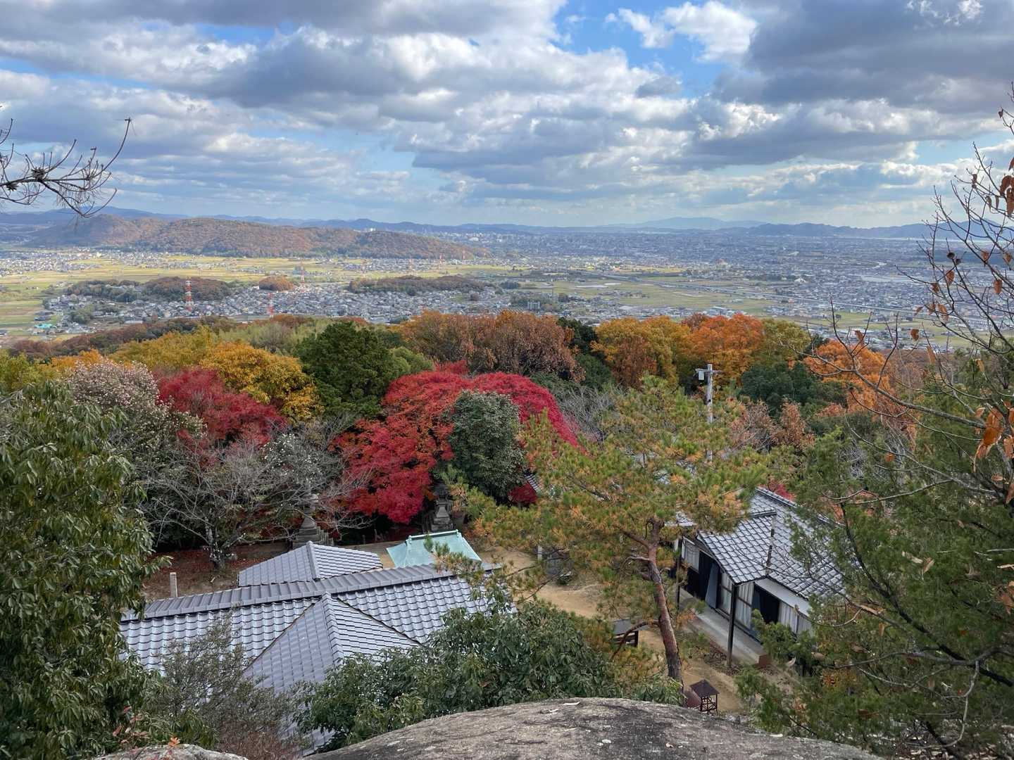 さっきの紅葉🍁
上から見るとこれもまた綺麗🤩