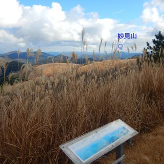 妙見山が見えてます