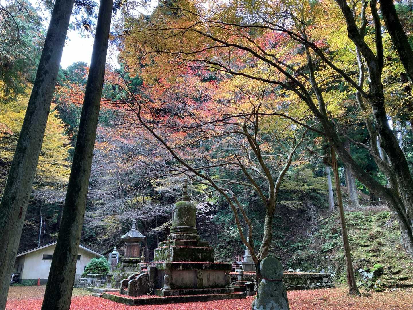 比叡山 | 歴史と自然が交わる、京都北山の縦走路の写真