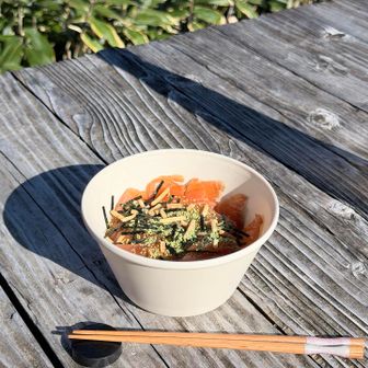 鮭まみれの鮭茶づけになりました。これでよい。