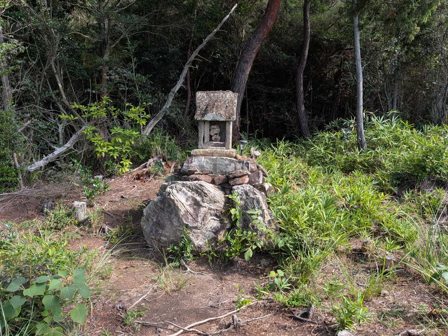 稲積山 往復コースの写真
