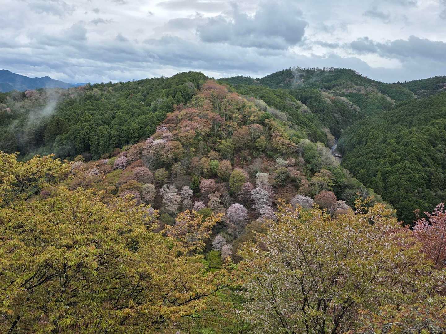 金峯山寺-韋駄天山-吉水神社 往復コースの写真