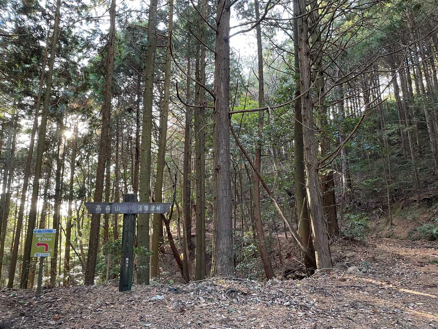 高森山 往復コースの写真