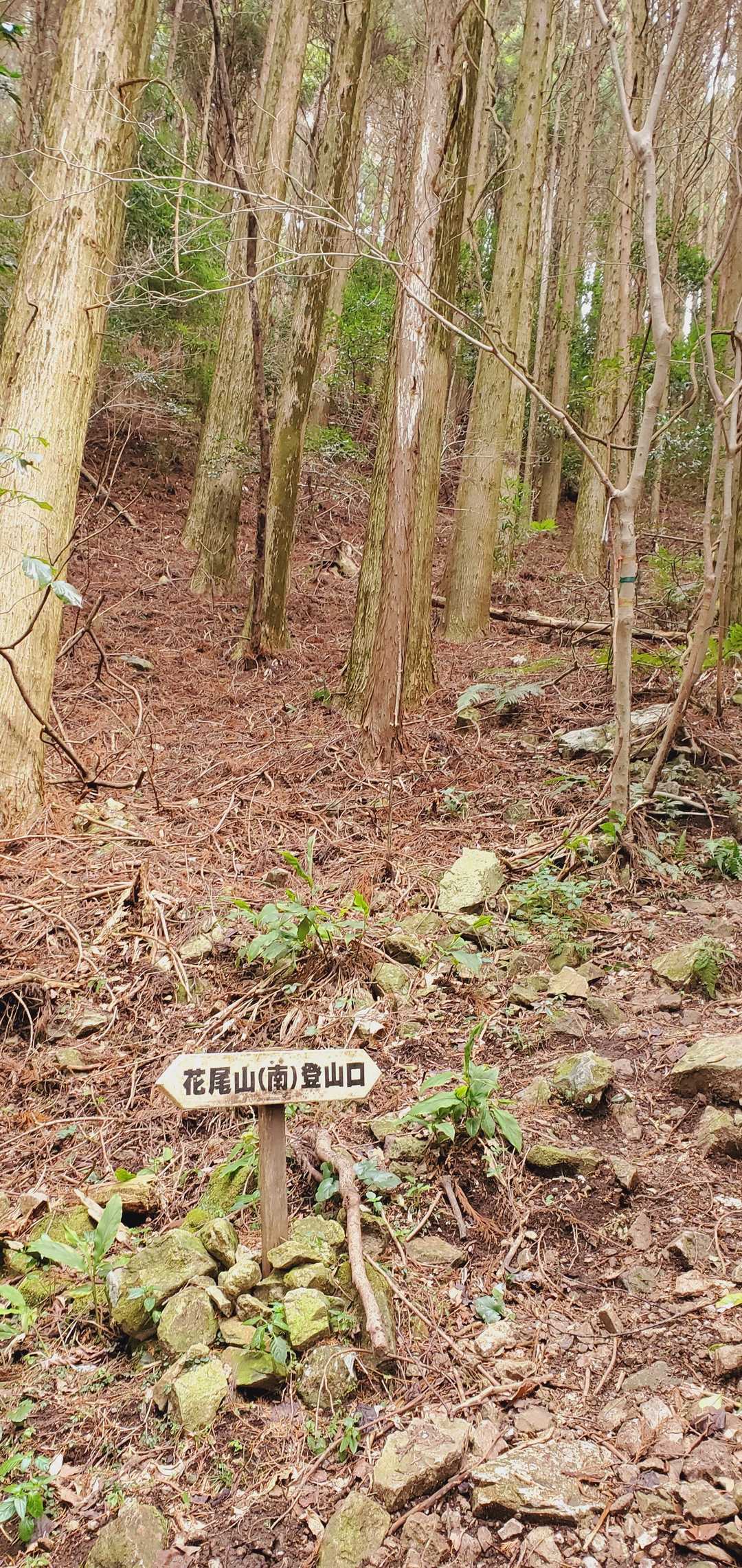 花尾山(南)登山口