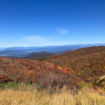 お花畑からの紅葉🍁
鳥海山も見えてます🗻
