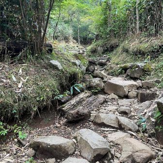 岩岩🪨したところもあります