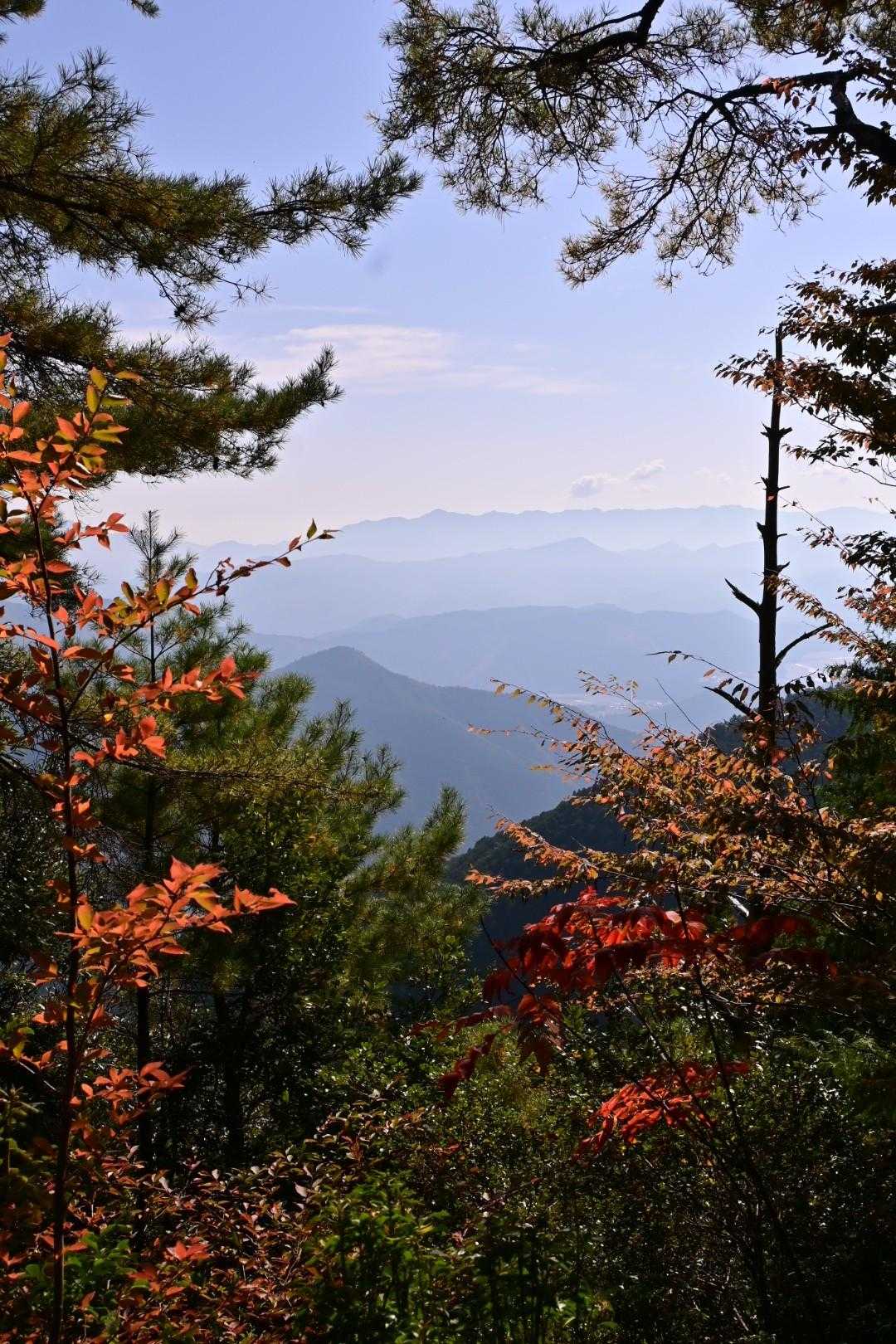 美しい‼️