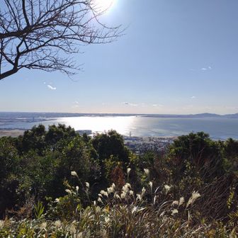 三河湾が綺麗に見えます