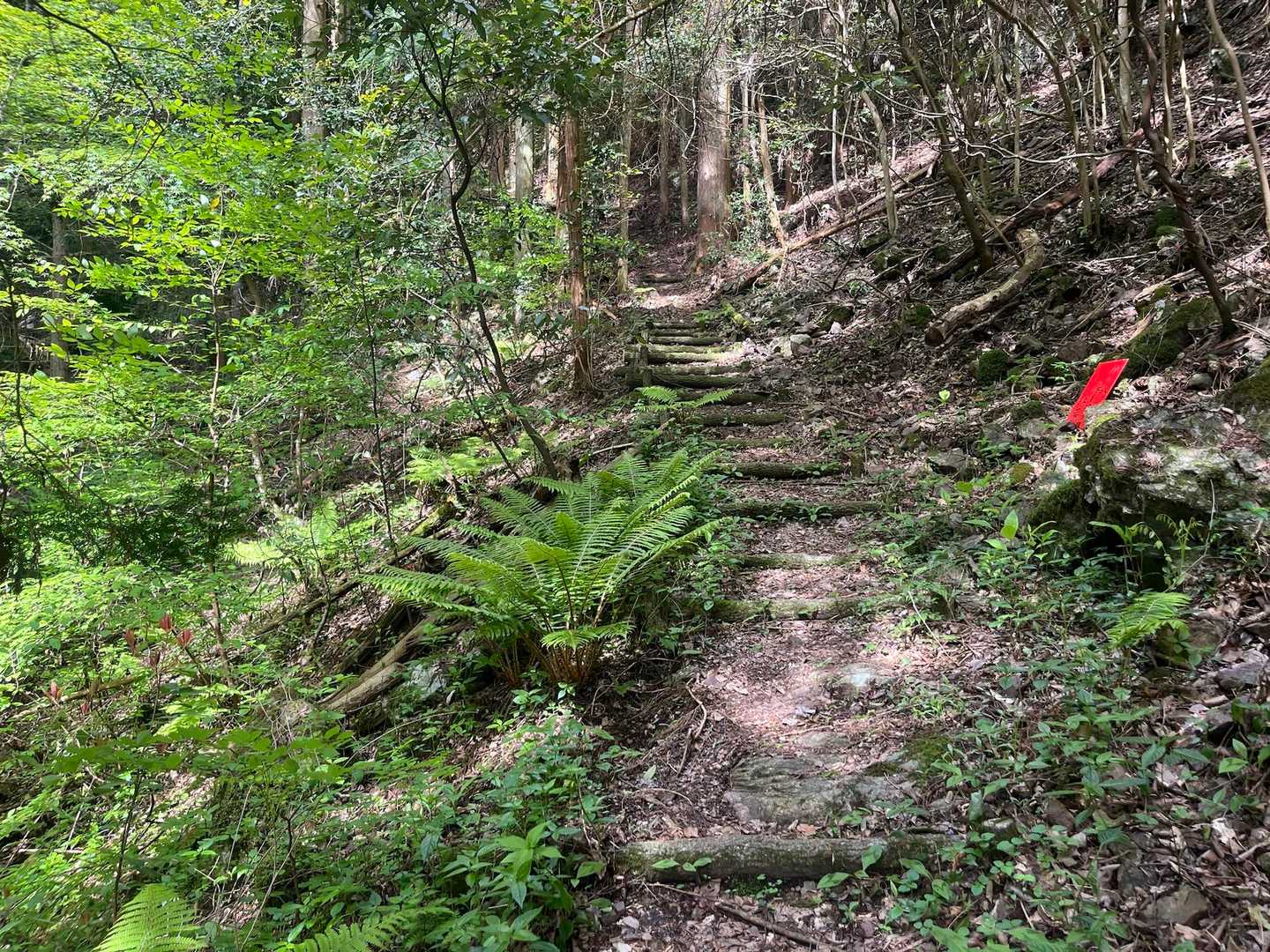 天神山登山口-天神山 往復コースの写真