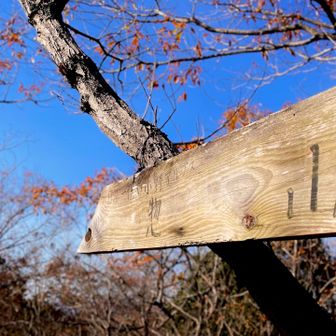 小野アルプス最高峰、惣山⛰️198.9m(笑)