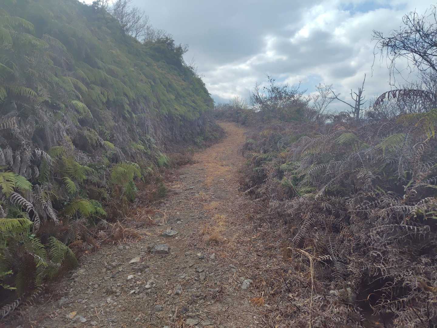 ず〜と、幅広い、手入れが整った登山道が続きます😁

地元の方が手入れしてくれていて🙏地元の方の散歩コースらしく、又、地元のマラソンをしている方の練習コースらしいです😁