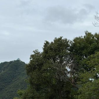 岐阜城へ行くはずが　あんなに遠くに！