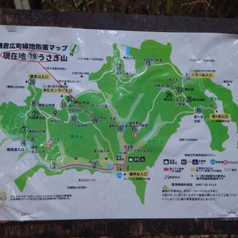 🐰の山頂標識見つからなかったので、これを代わりに😊👆
現在地 うさぎ山らしいです笑