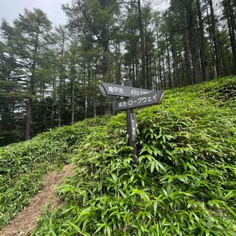 次は雨池方面へ。