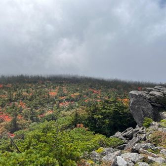 西吾妻山の紅葉