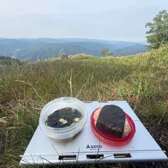 鮭明太🍙×ワカメマシマシお味噌。目の前を大きなトンビ（多分）がヒューンと旋回。その様子を見ながらモグモグ。