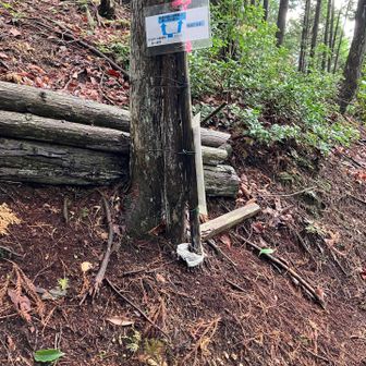 登りにきたんですから。左へ。