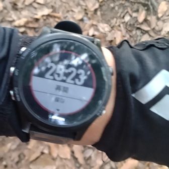 小笠トンネル登山口から山頂三角点まで。15分20秒。
富士見霊園からトンネルまでは、８分。